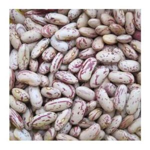 Kidney Beans Supplier