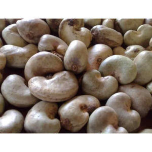 Cashew Nuts for Wholesale