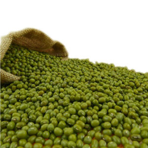 Green Mung Beans Supplier