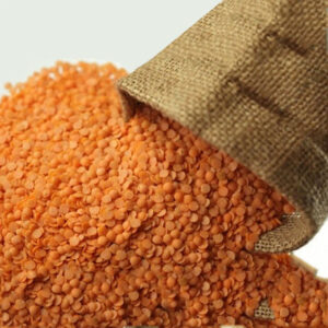 Bulk Lentils Supplier